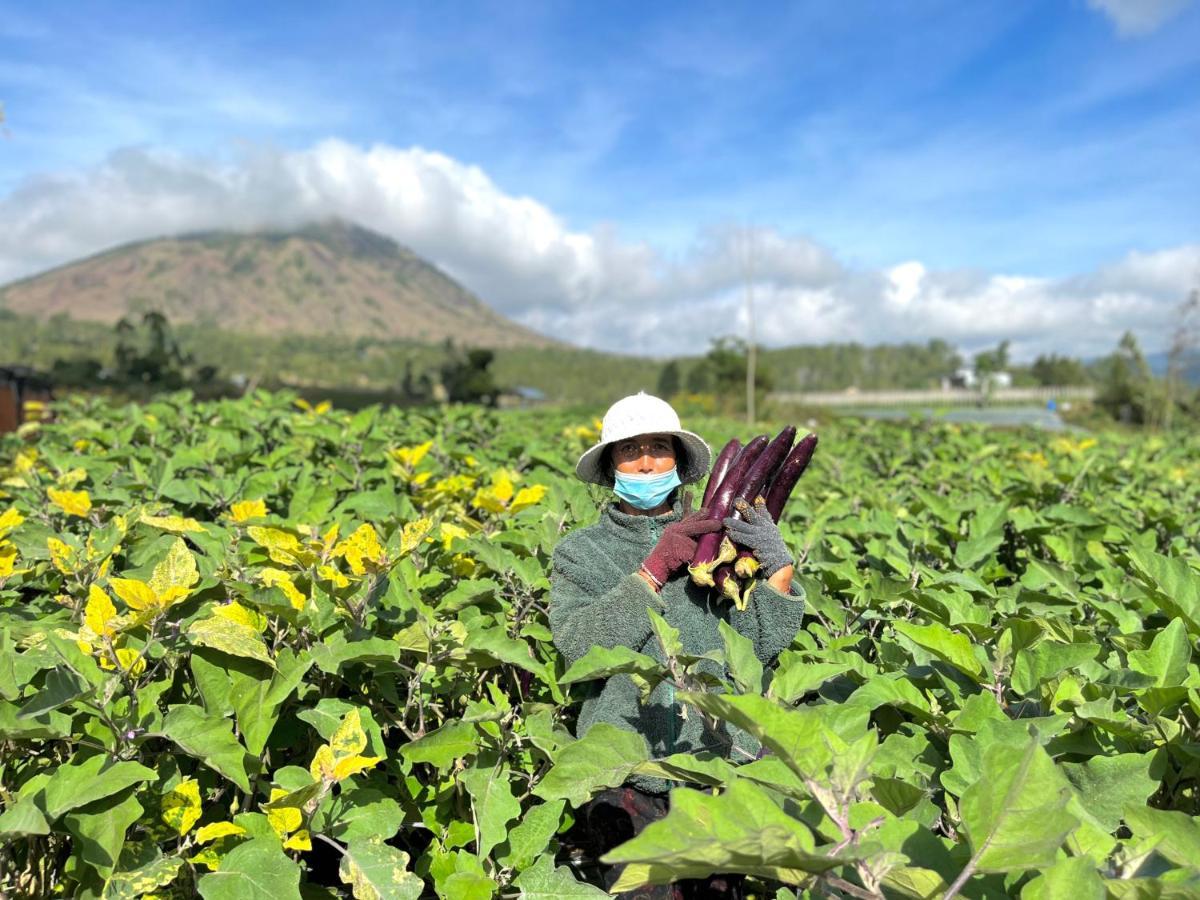 Baturaja Semadi Mountview公寓 外观 照片